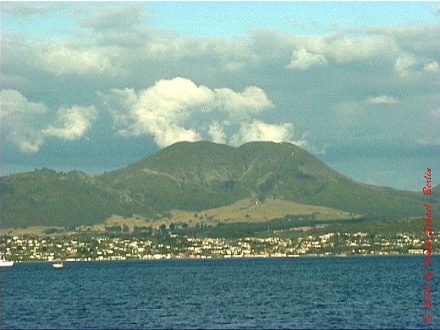 NZL-0225