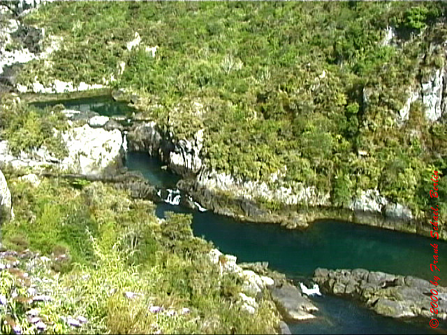 NZL-0233