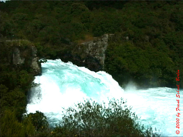 NZL-0237