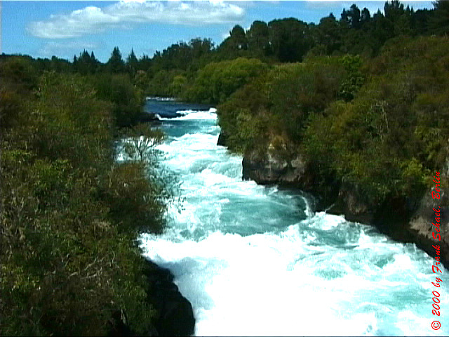 NZL-0240