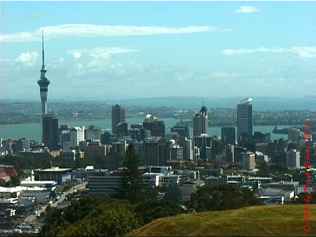 NZL-0249