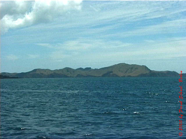 NZL-0258