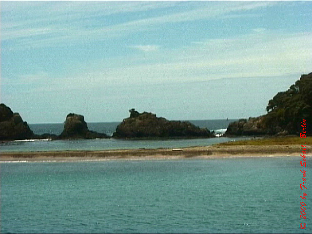 NZL-0260