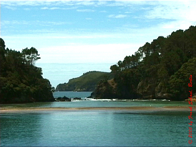 NZL-0261
