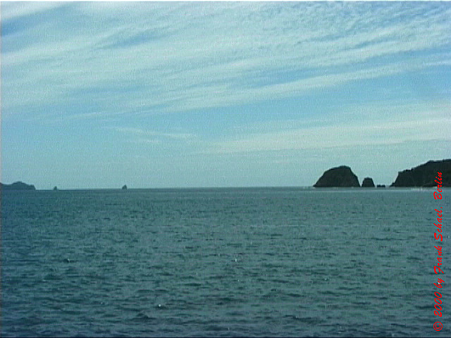 NZL-0262