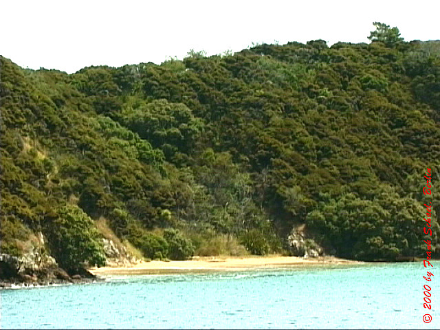 NZL-0263