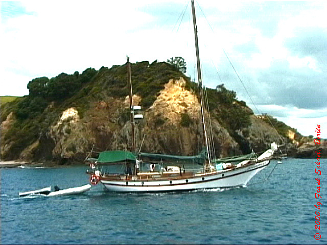 NZL-0264