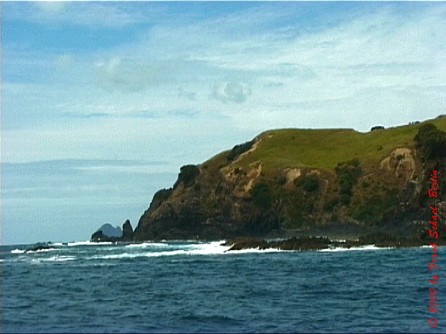 NZL-0265