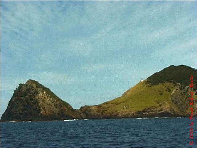NZL-0266