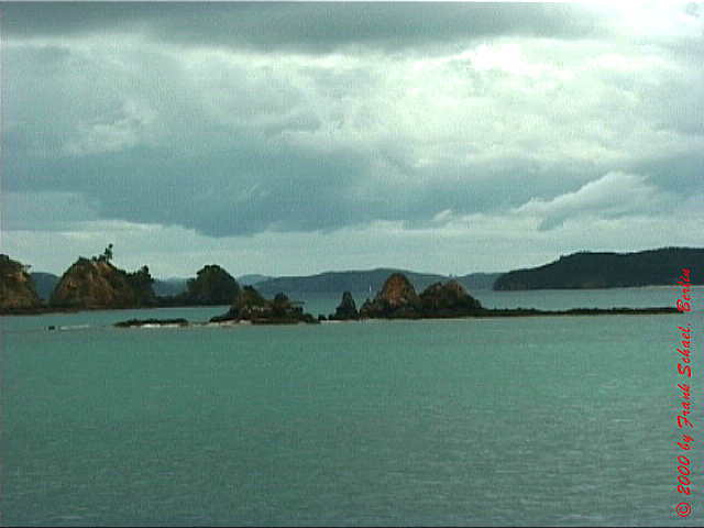 NZL-0270