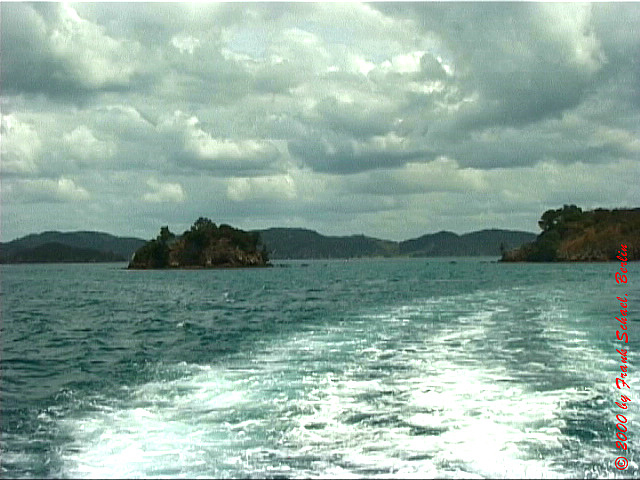 NZL-0271