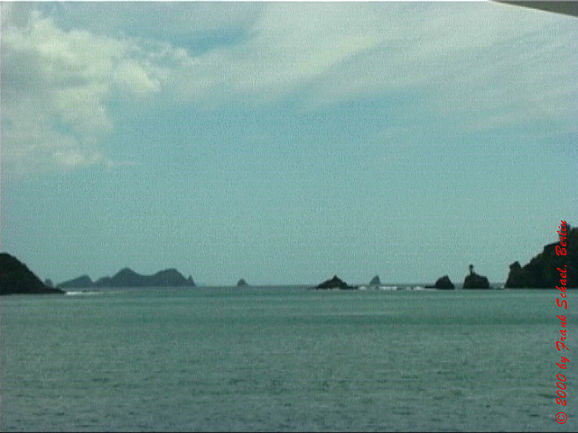 NZL-0272
