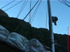 NZL-0079
