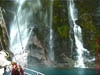 NZL-0083