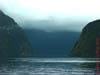 NZL-0084