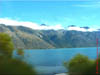 NZL-0088