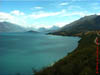 NZL-0099