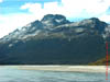 NZL-0100