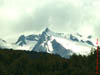 NZL-0103