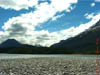 NZL-0104
