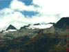 NZL-0106