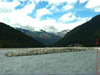 NZL-0107