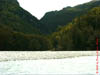 NZL-0108