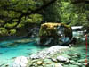 NZL-0109