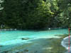 NZL-0110