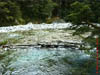NZL-0111