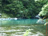 NZL-0112