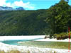 NZL-0116
