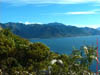 NZL-0131
