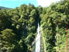 NZL-0141