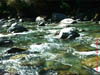 NZL-0143