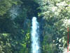 NZL-0145