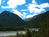 NZL-0169