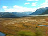 NZL-0175
