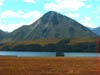 NZL-0179