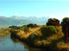 NZL-0190