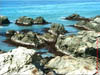 NZL-0193