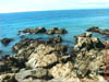 NZL-0194