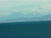 NZL-0199