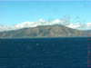 NZL-0200
