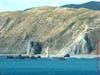NZL-0201