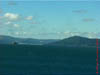 NZL-0203