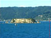 NZL-0204