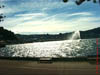 NZL-0208