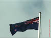 NZL-0210