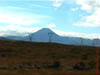 NZL-0217
